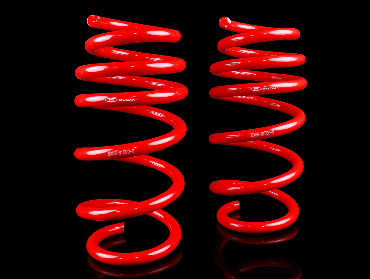 Blox Competition Series Lowering Springs - Tesla Model 3 - Image 4