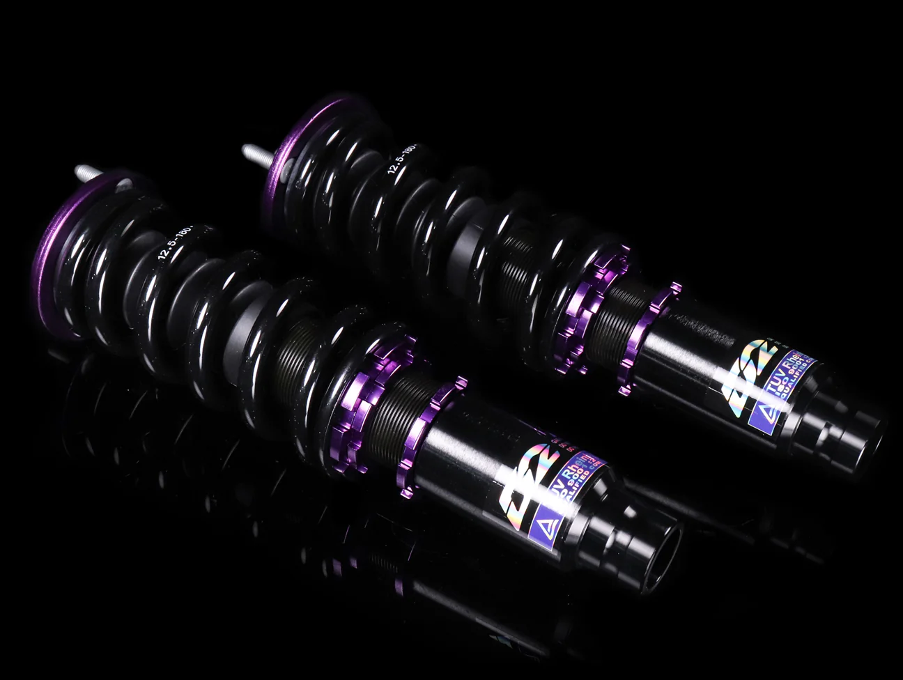 D2 Racing RS Coilover System - Civic - Image 3