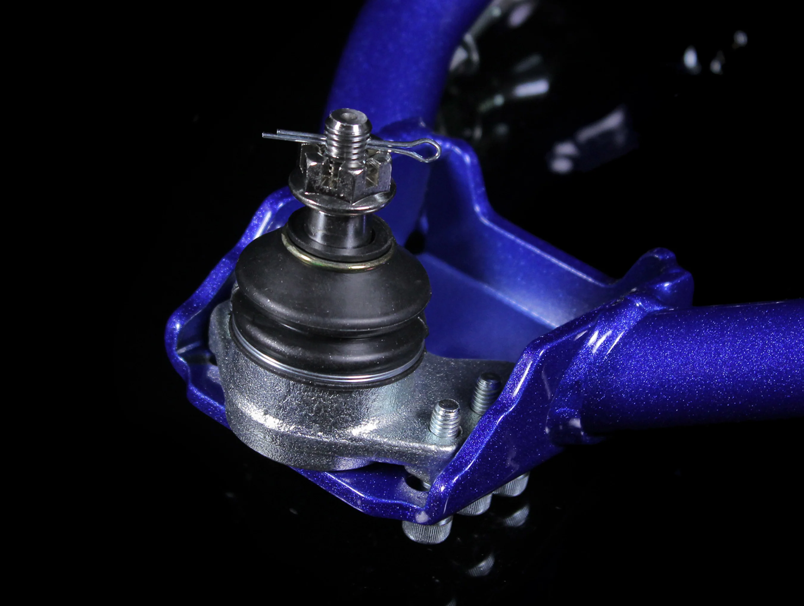 Hardrace Front Camber Kit - 08-12 Accord - Image 6