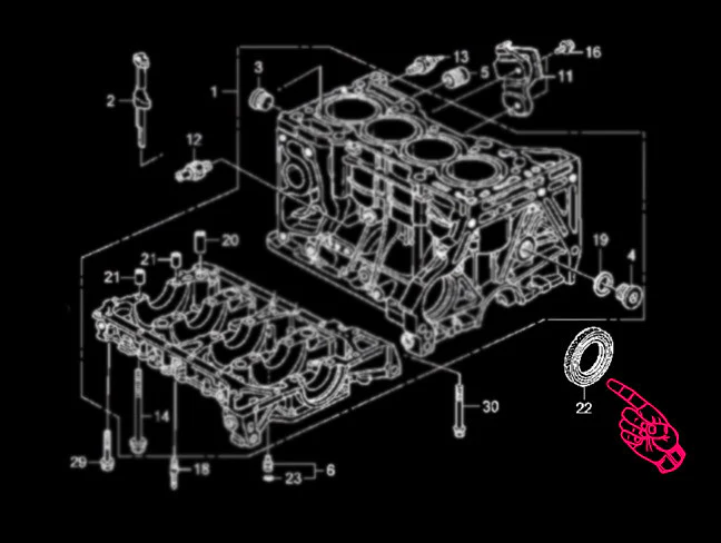 Honda Main Oil Seal - K-series - Image 4