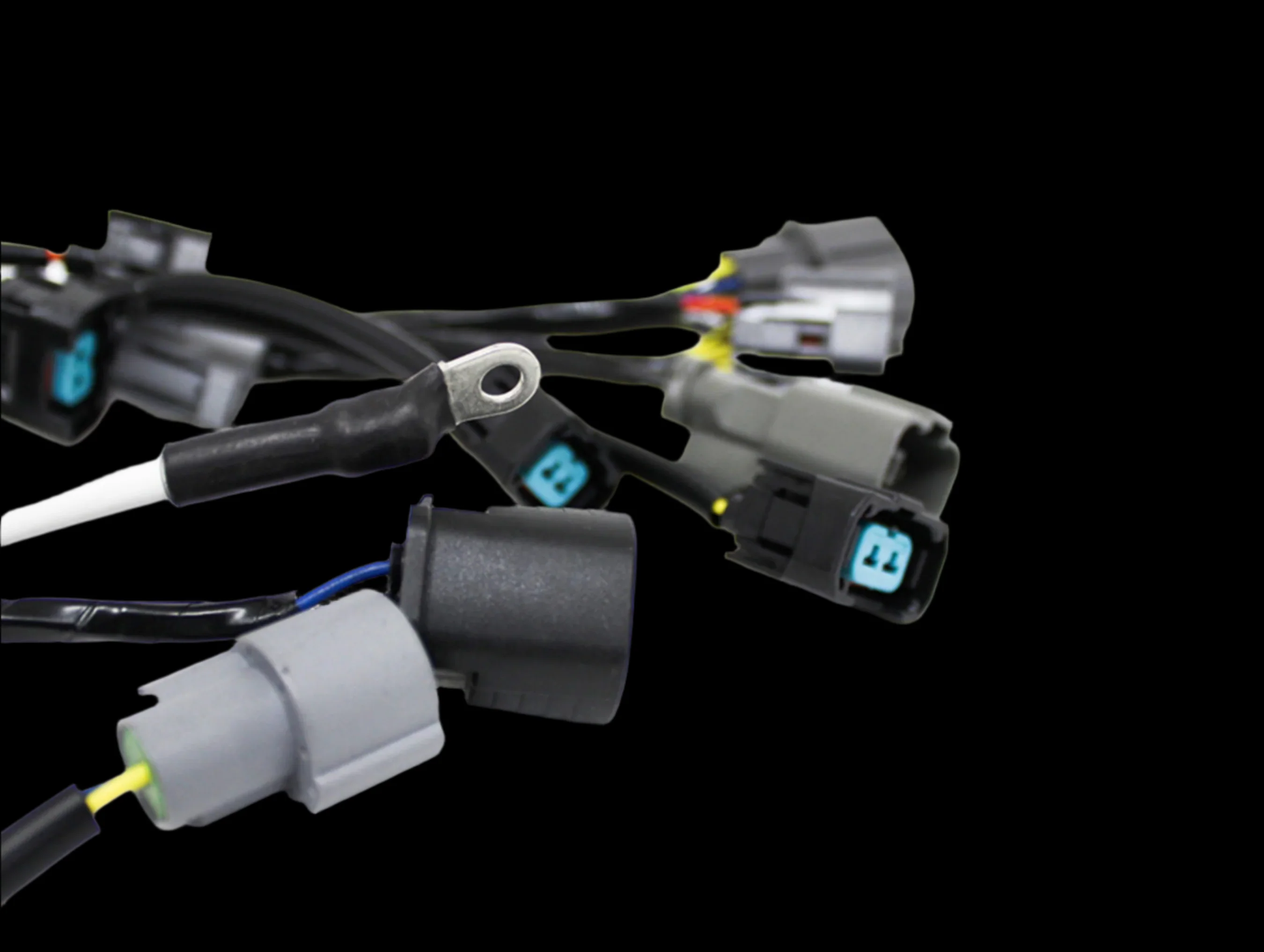 Rywire OEM Replacement Engine Harness - 92-95 Civic / 94-01 Integra - Image 6